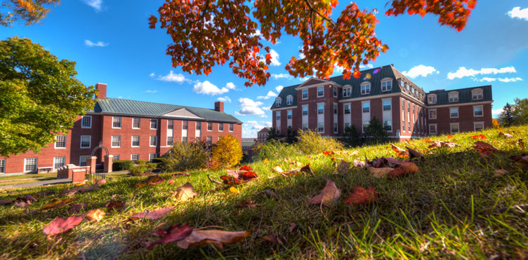 University of New Brunswick